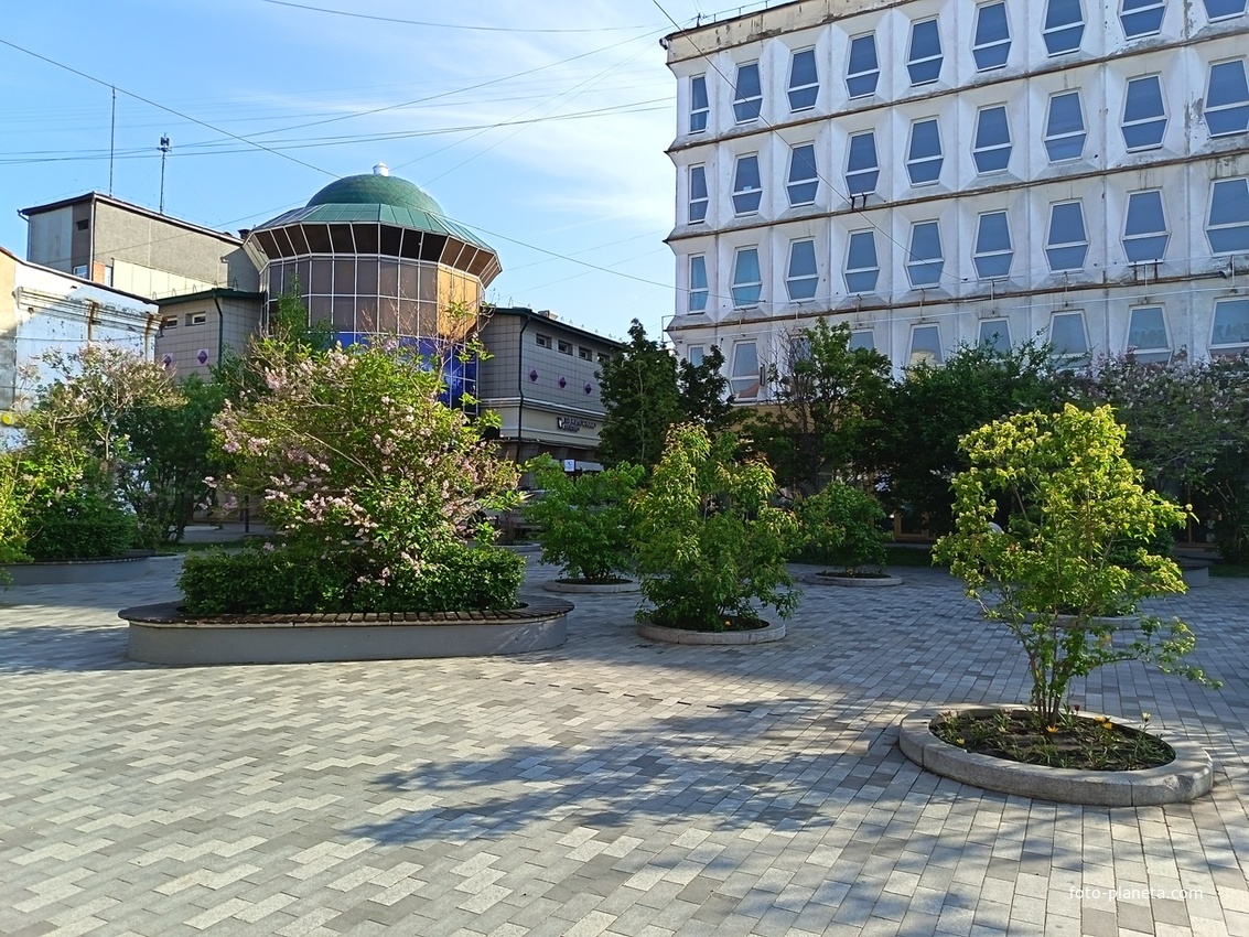 На пешеходной улице у цирка