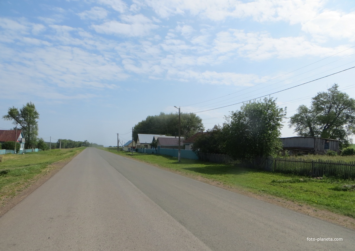 Центральная улица