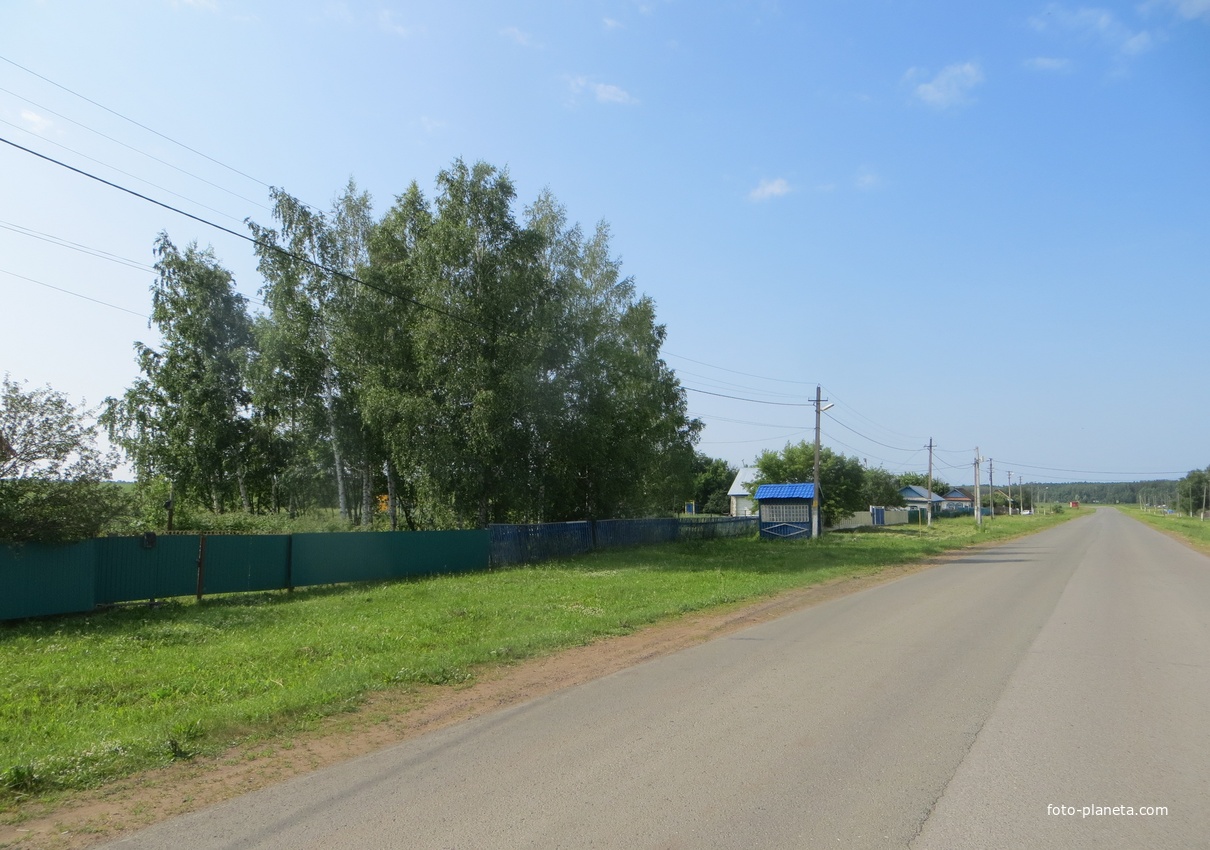 Центральная улица