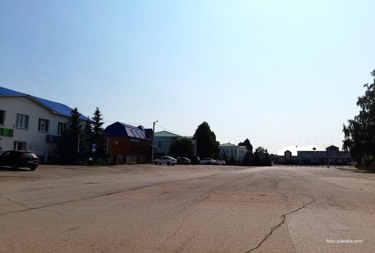 Центральная улица