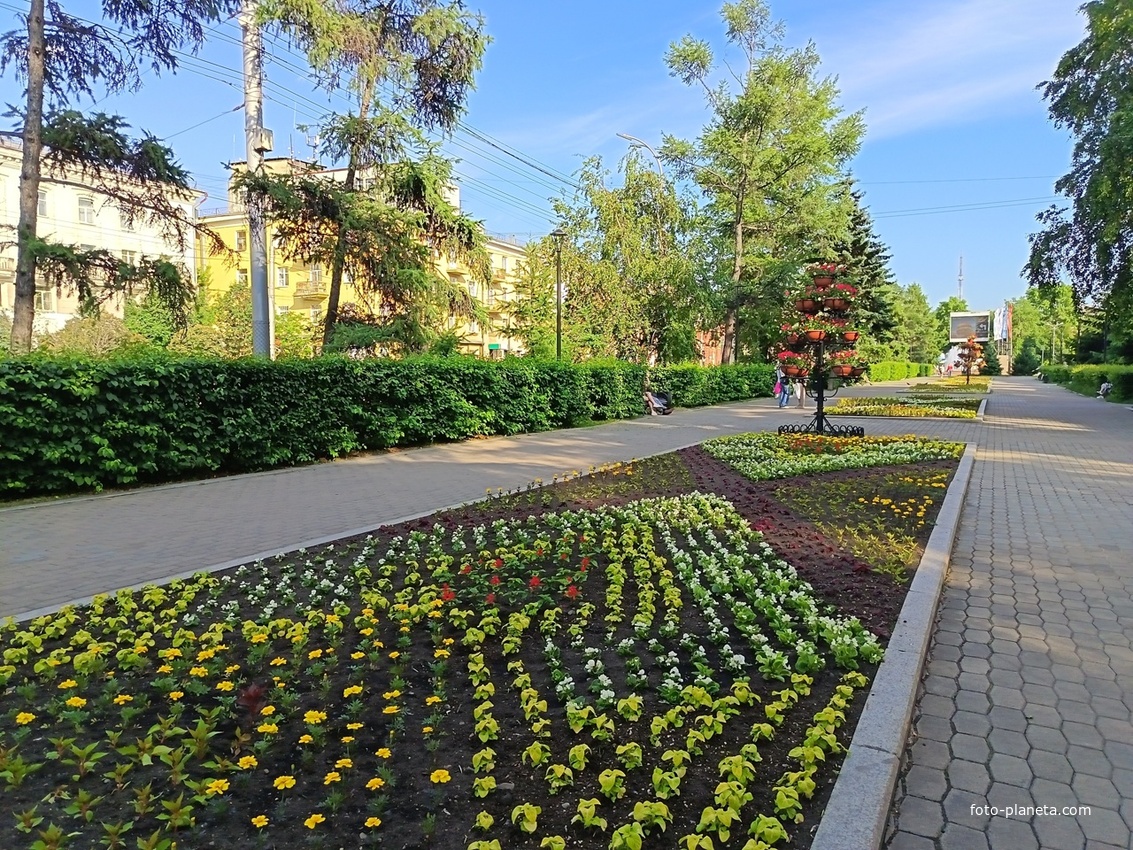 Сквер неподалеку от стадиона Труд