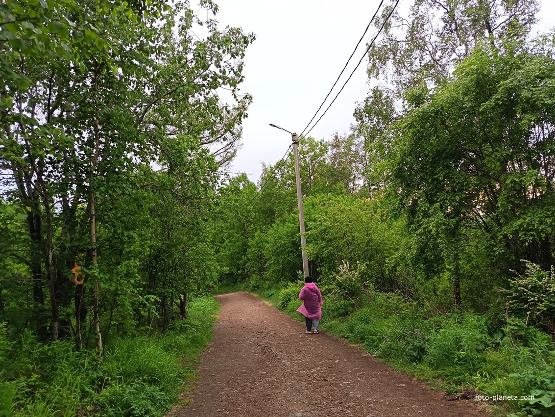 По дороге на камень Черского