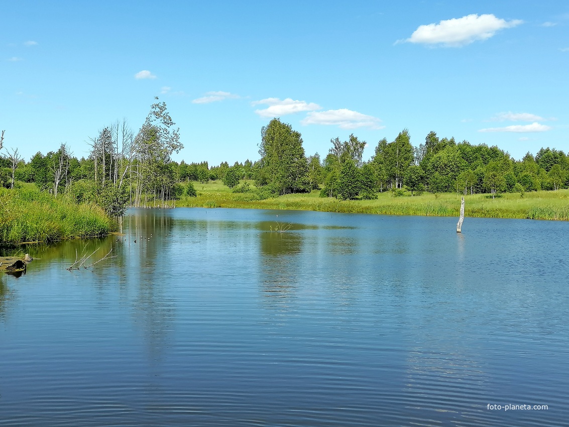 Река Березинка