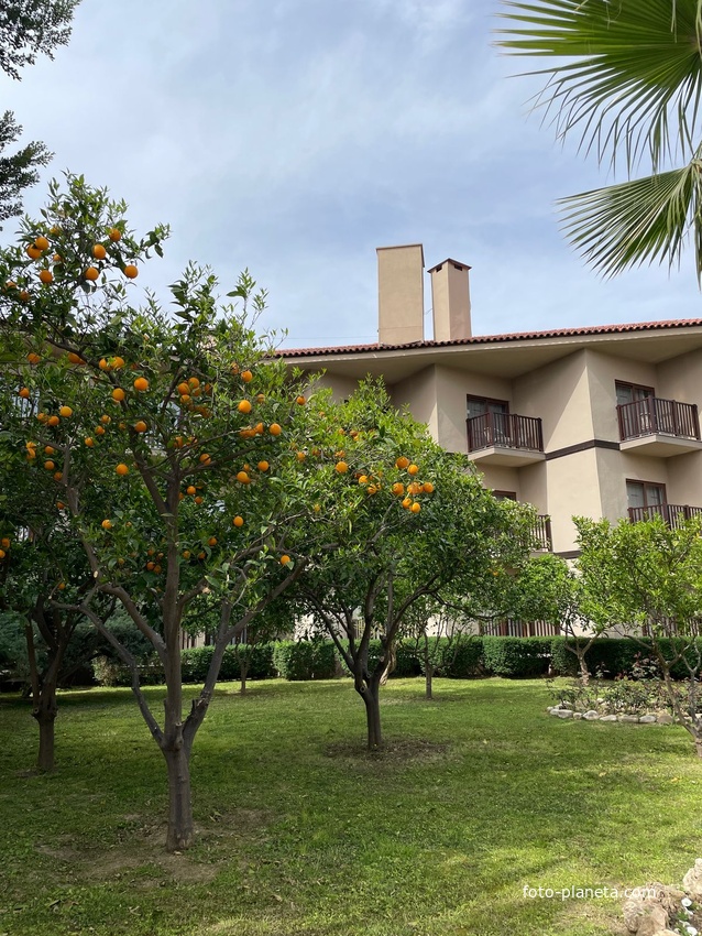 Чолаклы - В посёлке