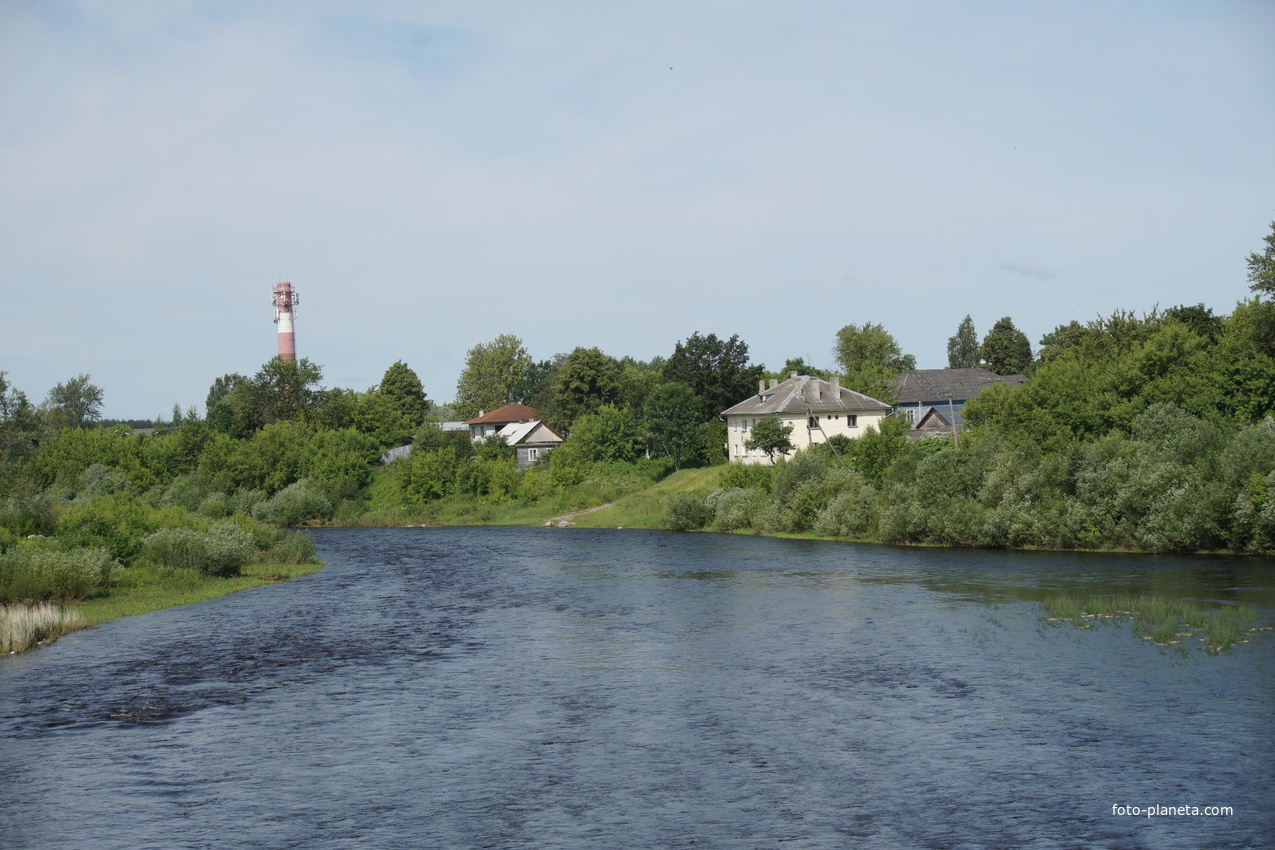 Остров, река Великая, правобережье