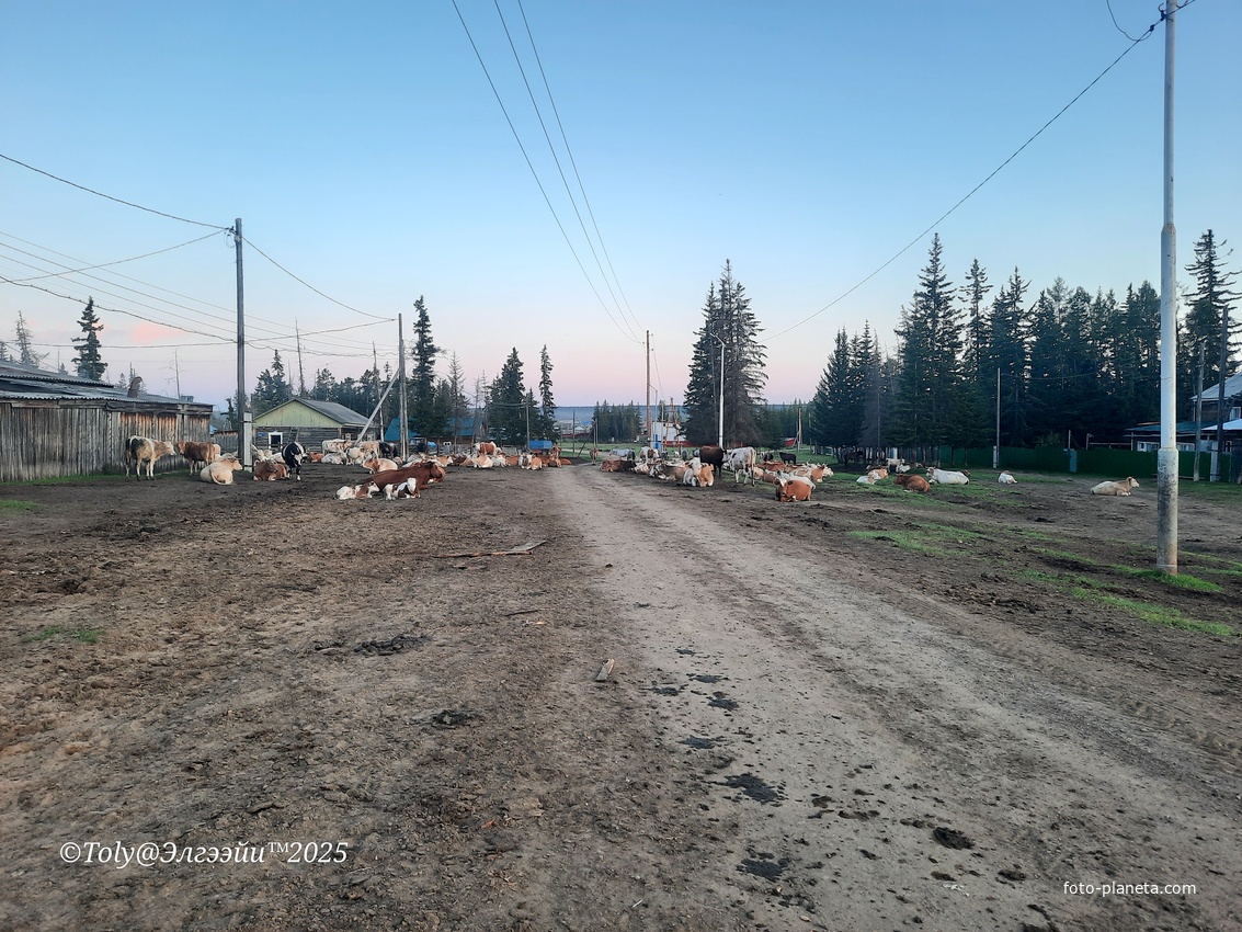 Вид села Эльгяй