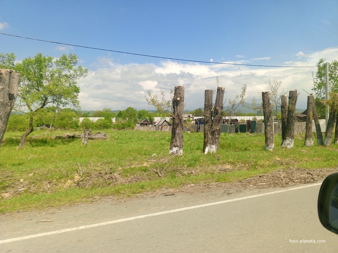 Новонежино