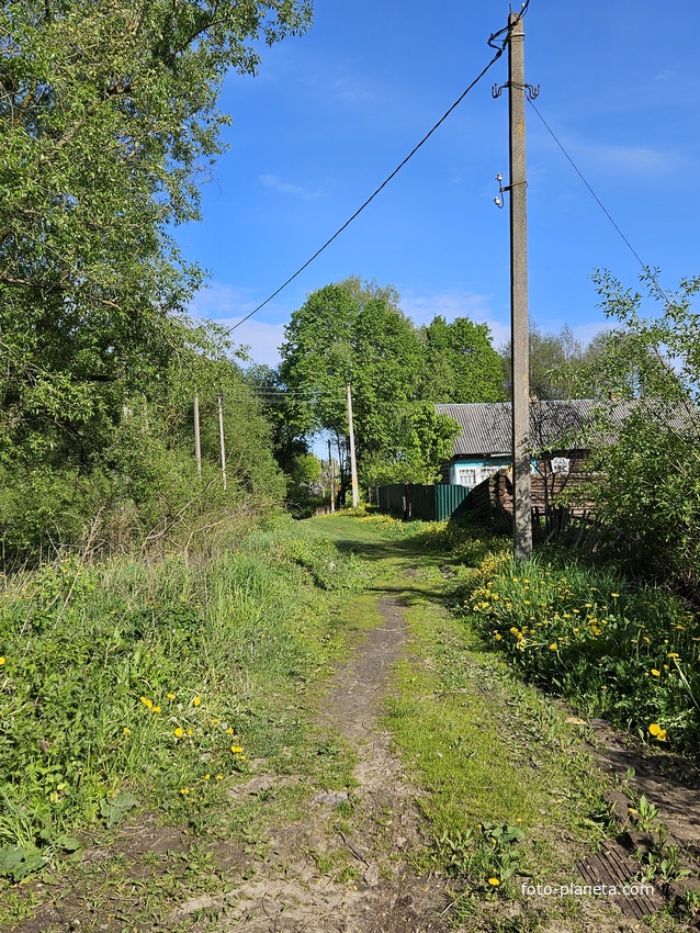 Большая Ганута