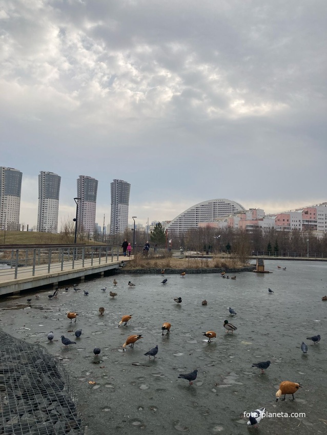 Ходынский пруд поздней осенью