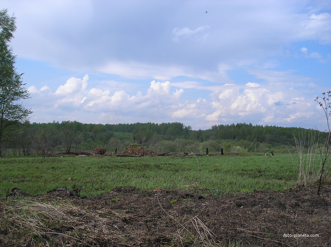 Николо Берновичи