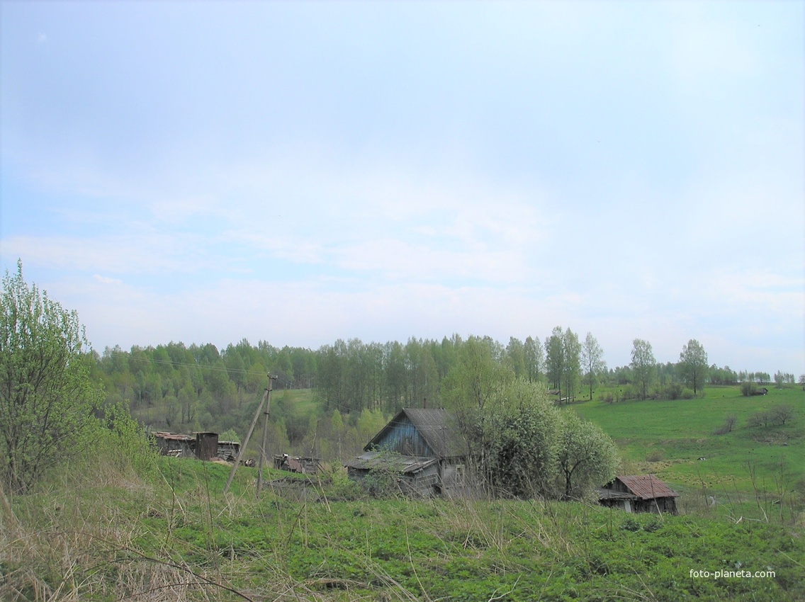 Николо Берновичи