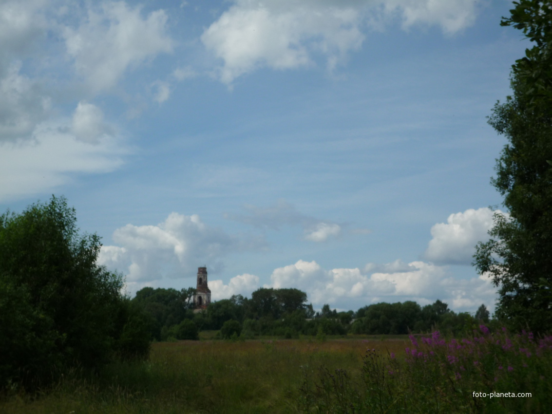 Вид на Чижово с дороги. 2009 г.