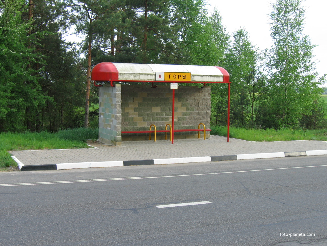 д.Горы. Автобусная остановка. Май 2011г.