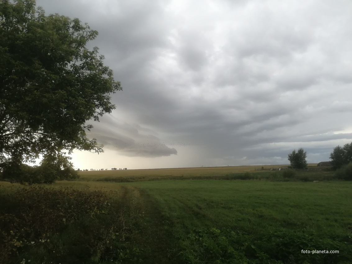 Вид от дома Сураевых