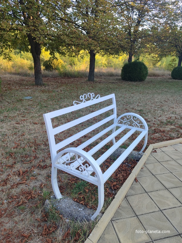 Ботанический сад.