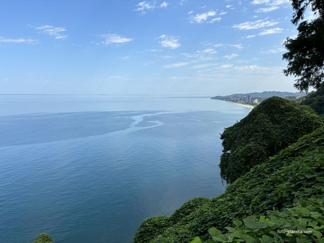 Ботанический сад Батуми. Вид на Черное море