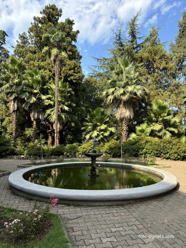 Ботанический сад Батуми