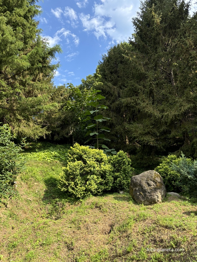 Ботанический сад Батуми