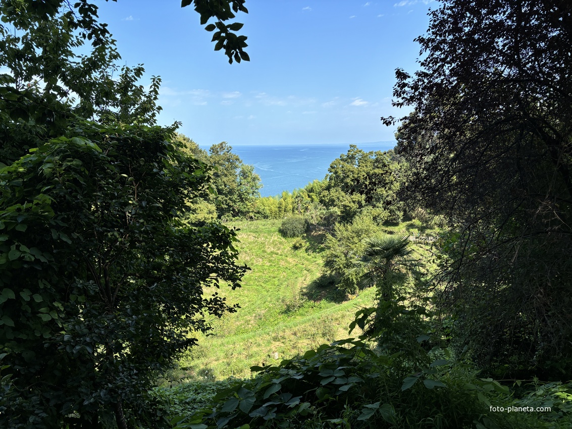 Ботанический сад Батуми