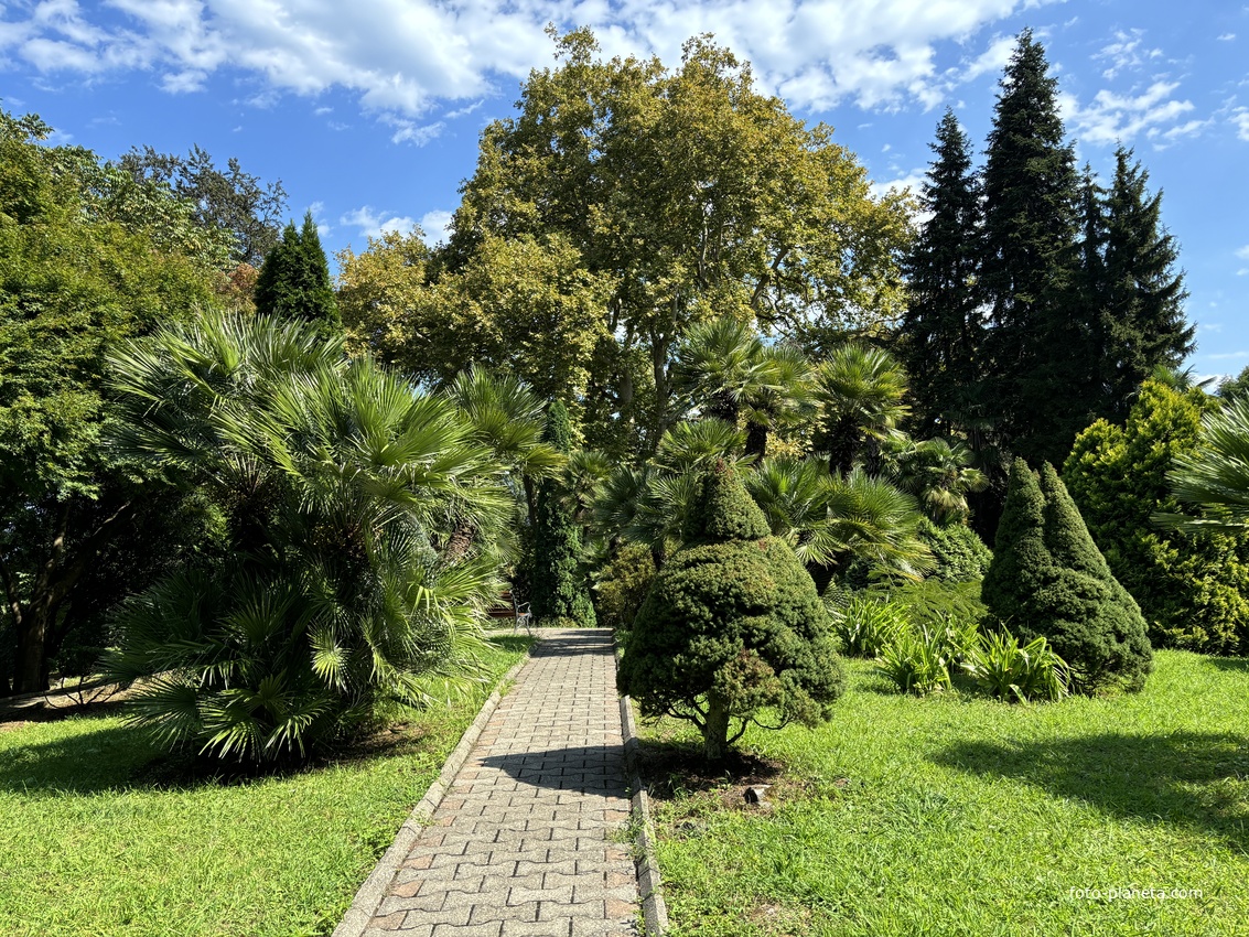 Ботанический сад Батуми
