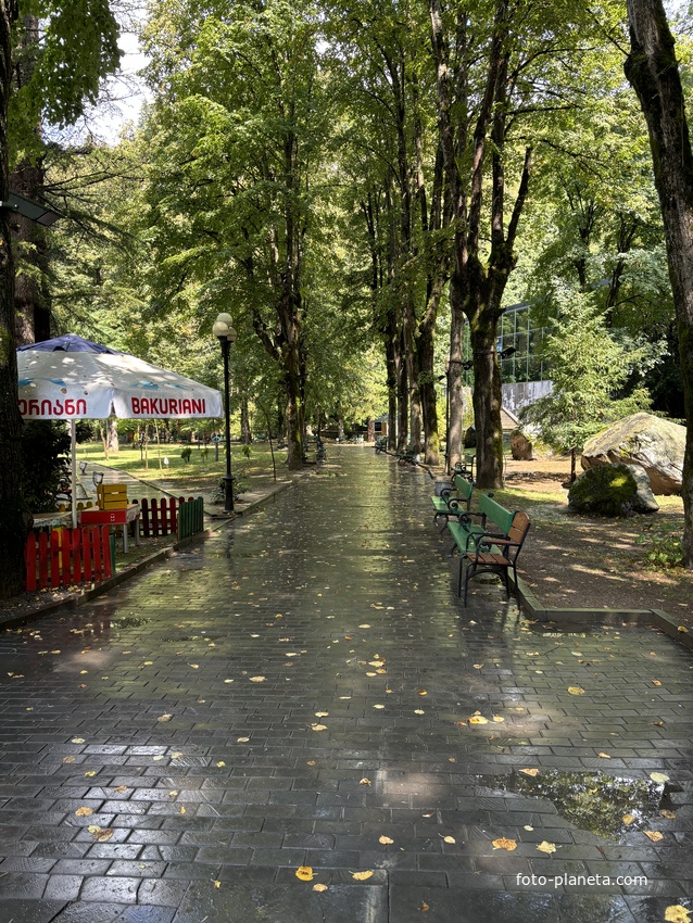 Екатерининский парк