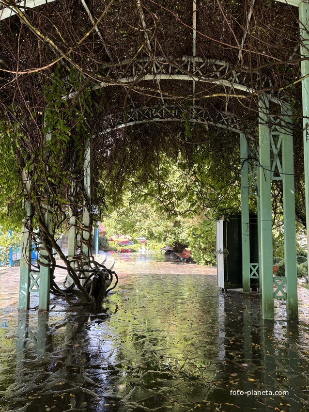 Екатерининский парк