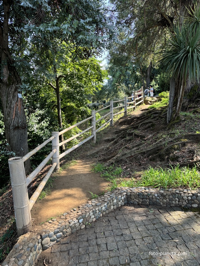 Ботанический сад Батуми