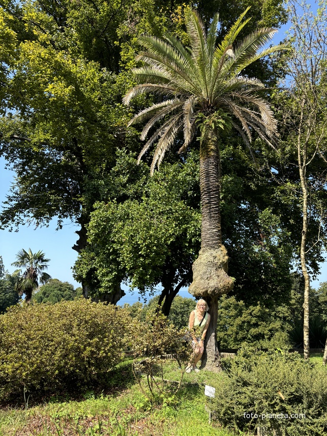 Ботанический сад Батуми