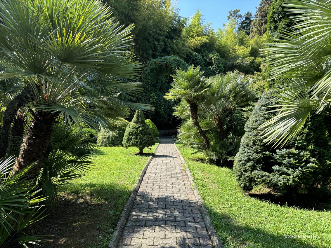Ботанический сад Батуми