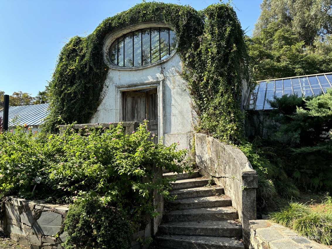 Ботанический сад Батуми. Оранжерея