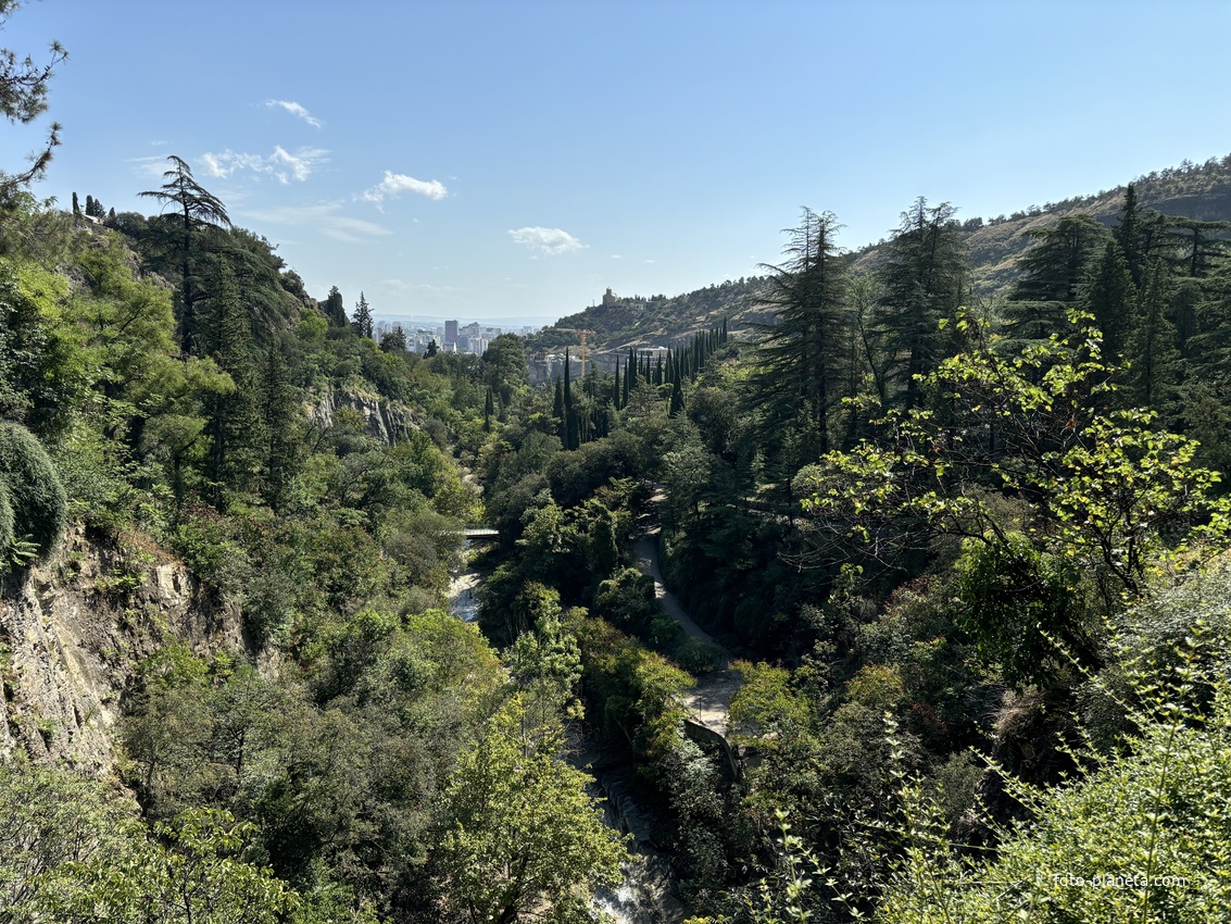 Ботанический сад Тбилиси