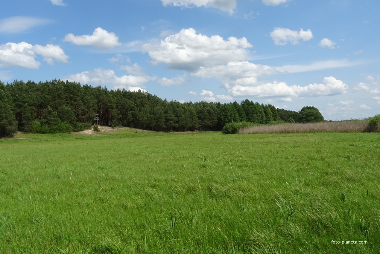 Экотропа &quot;В краю вертлявой камышовки&quot;