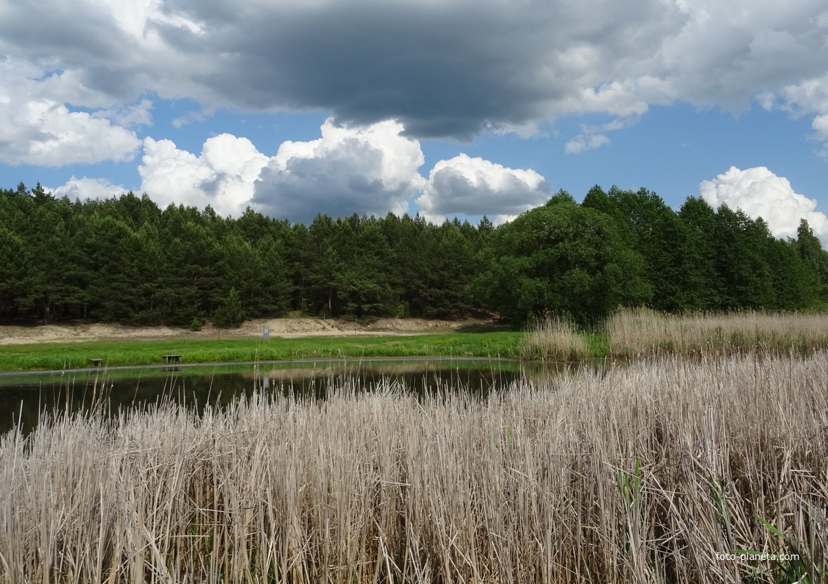 Экотропа &quot;В краю вертлявой камышовки&quot;