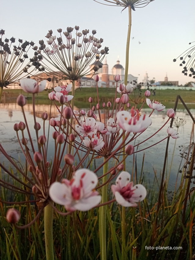 Вид на Богородице-Рождественский Бобренёв мужской монастырь со стороны пруда