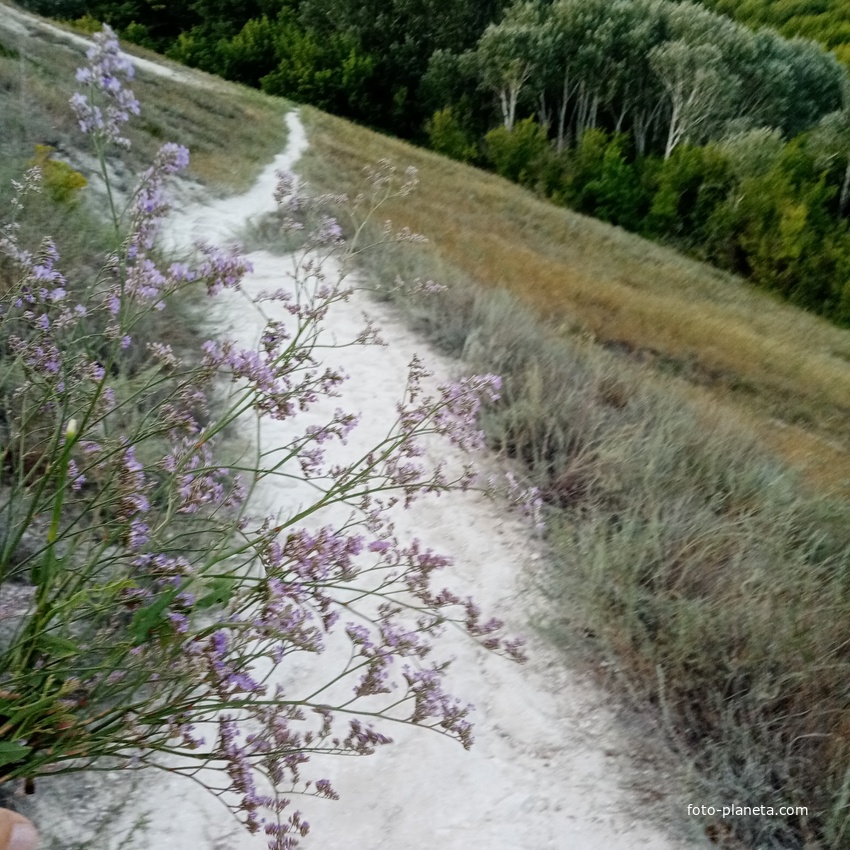 Рукотворная тропа для спуска с площадки входа в меловые пещеры монахов XVlll - XIX веков Каменобродского мужского монастыря к монастырскому комплексу