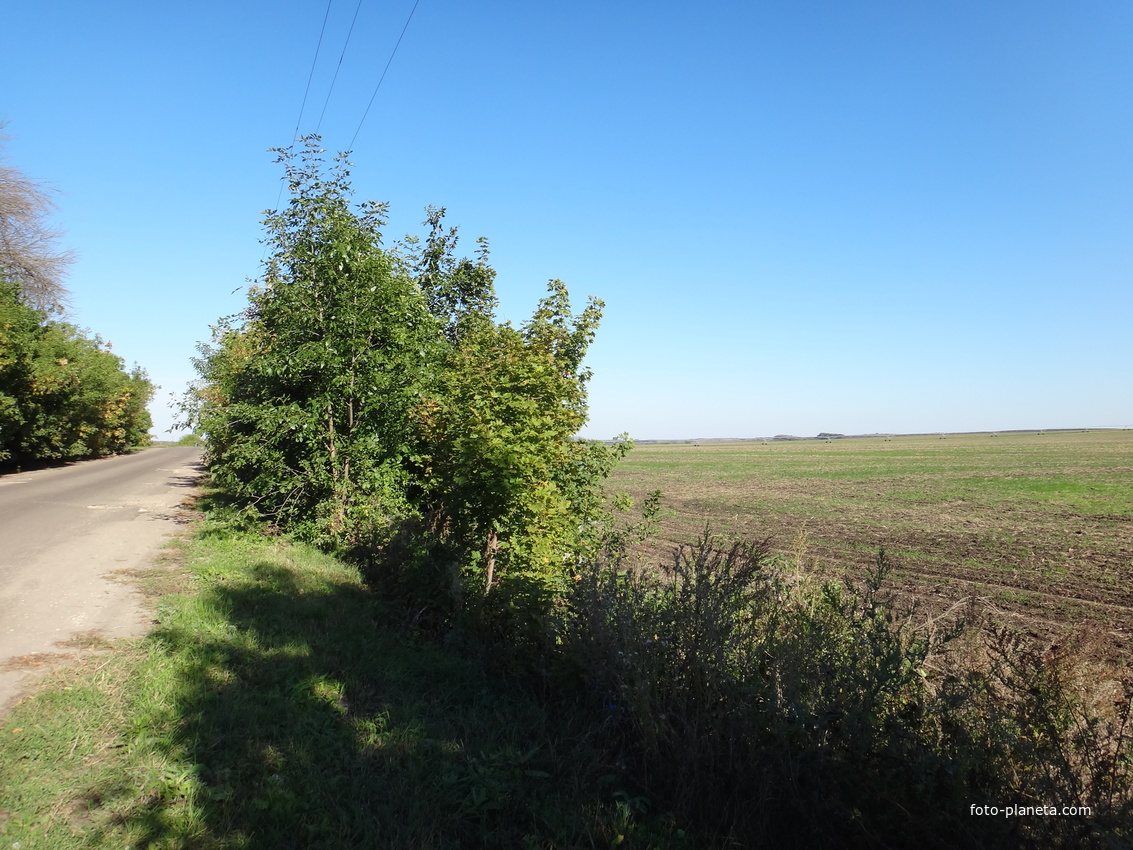 Поля в окрестностях посёлка