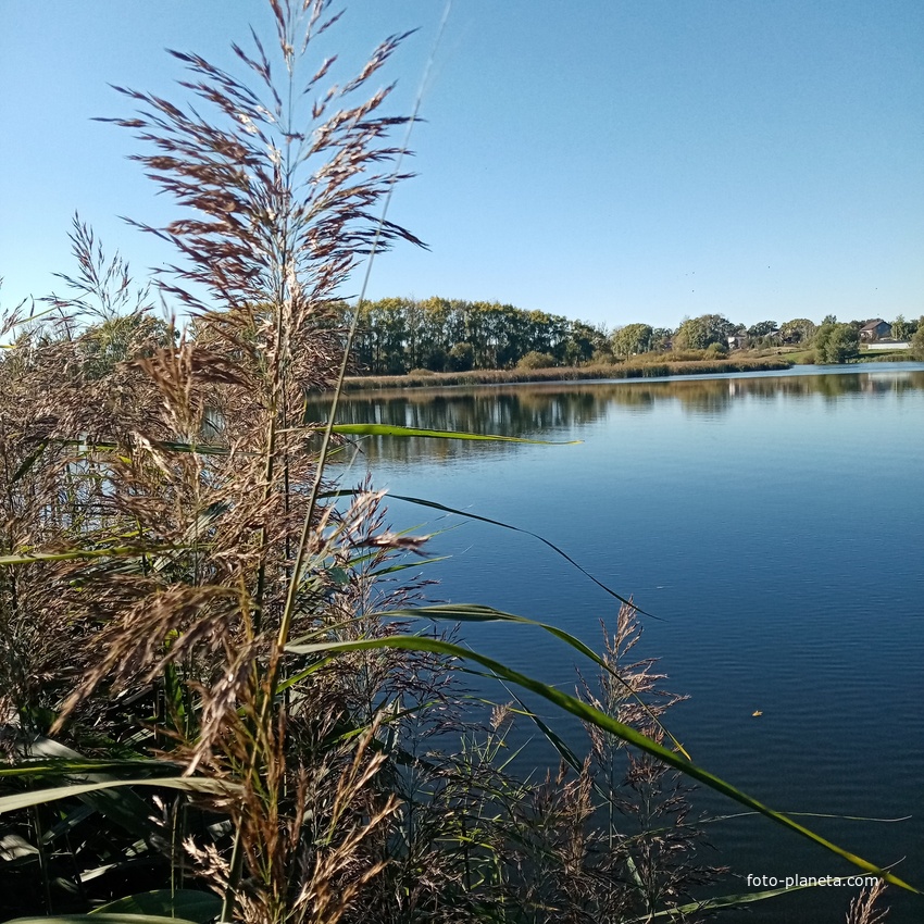Вид на Репинский пруд г. Коломны