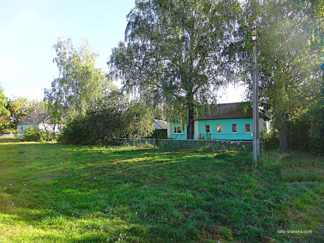 Дома на улице Центральная.