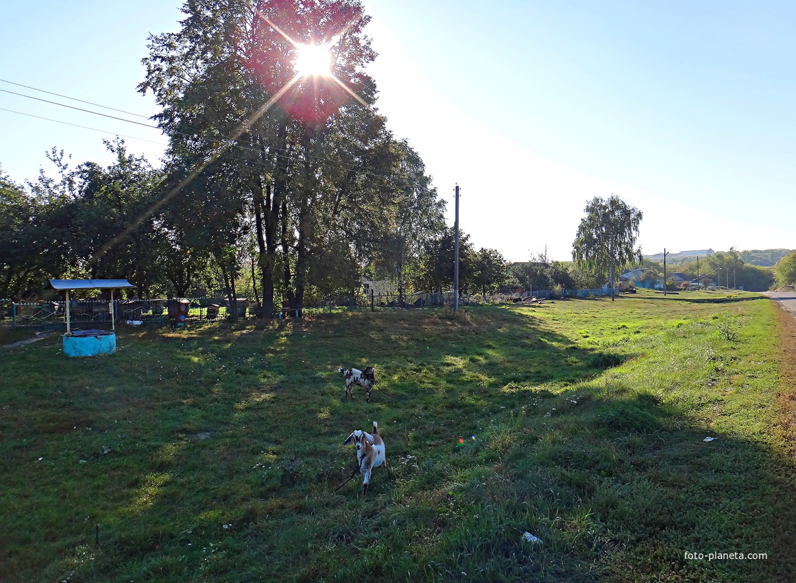 Колодец на улице Центральная.