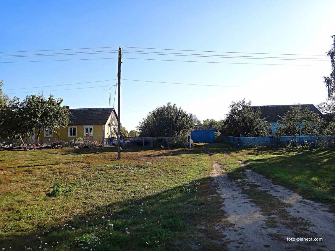 Дома на улице Центральная.