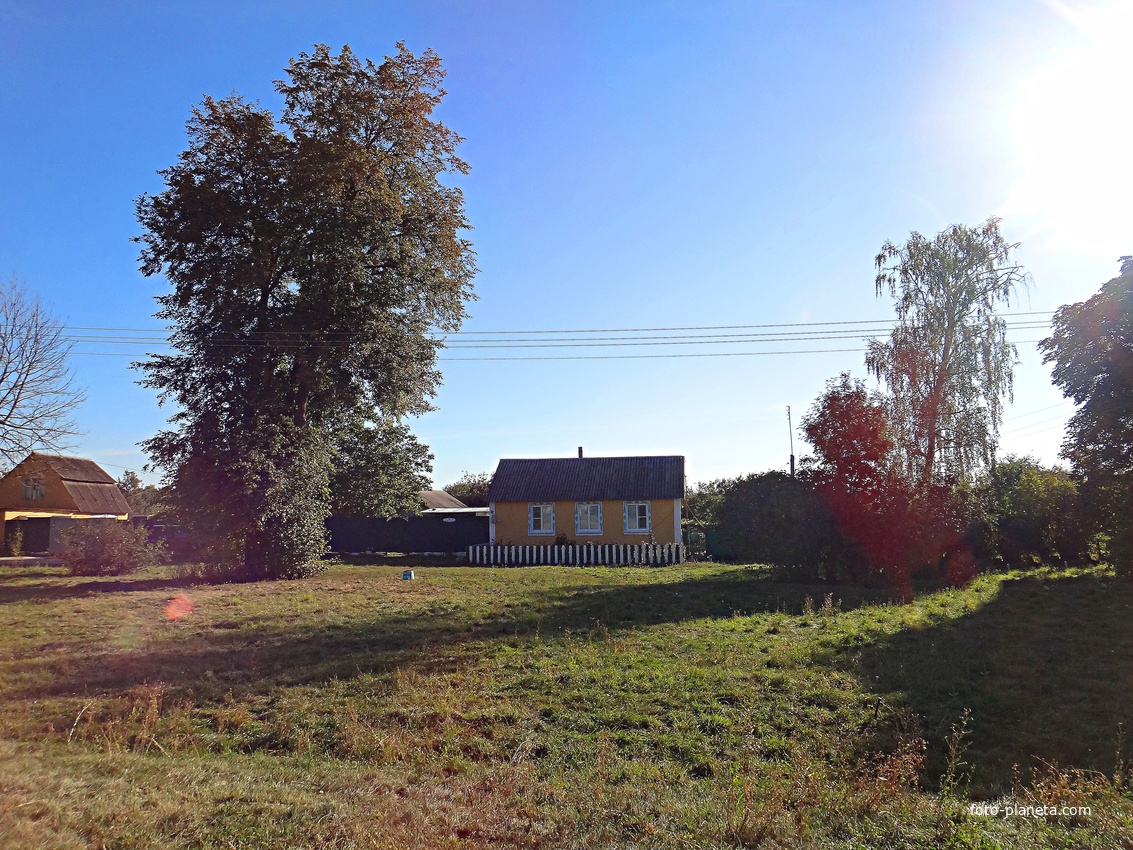 Дома на улице Центральная.