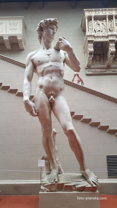 Копия статуи Давид