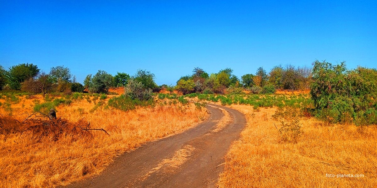 Посёлок Начало, окраина, природа.