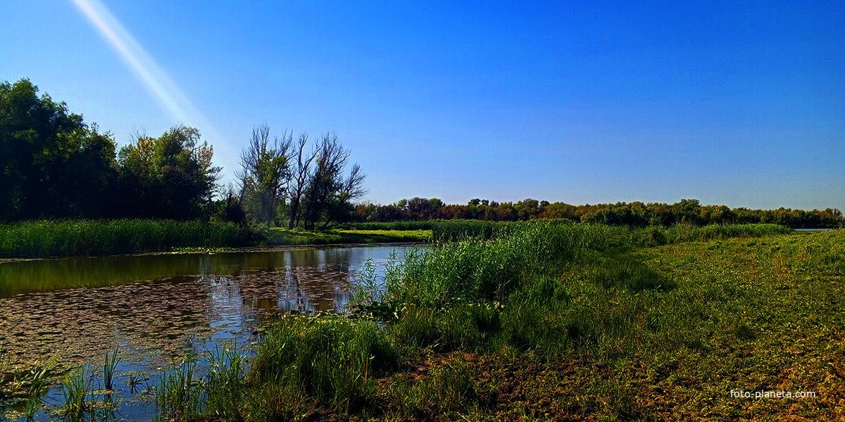 Посёлок Начало, берег, окраина, природа.