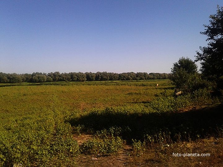 Село Килинчи, берег, окраина, природа.