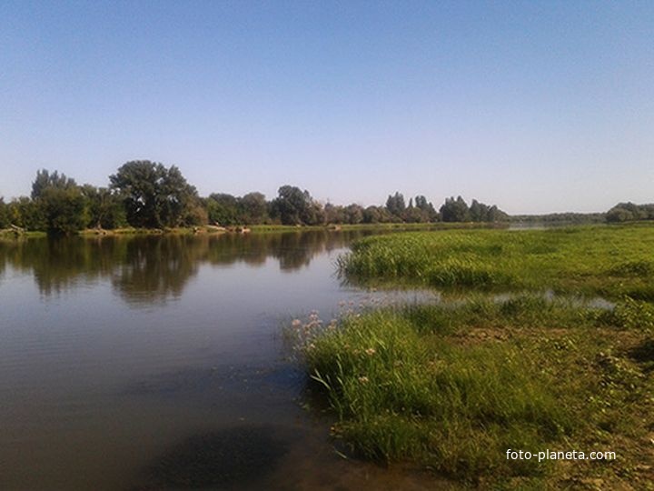 Село Килинчи, берег, природа, река Прямая Болда.