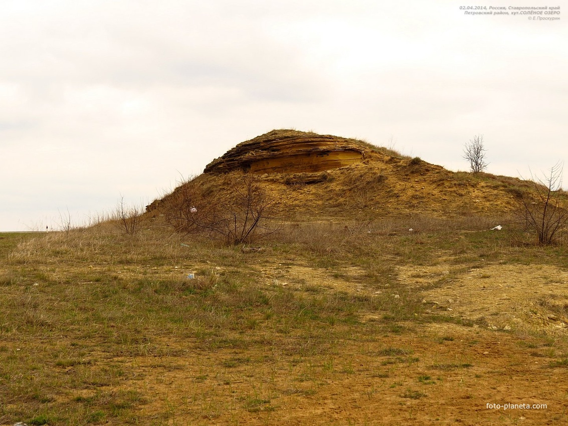 Местность в районе северной окраины хут.Солёное Озеро