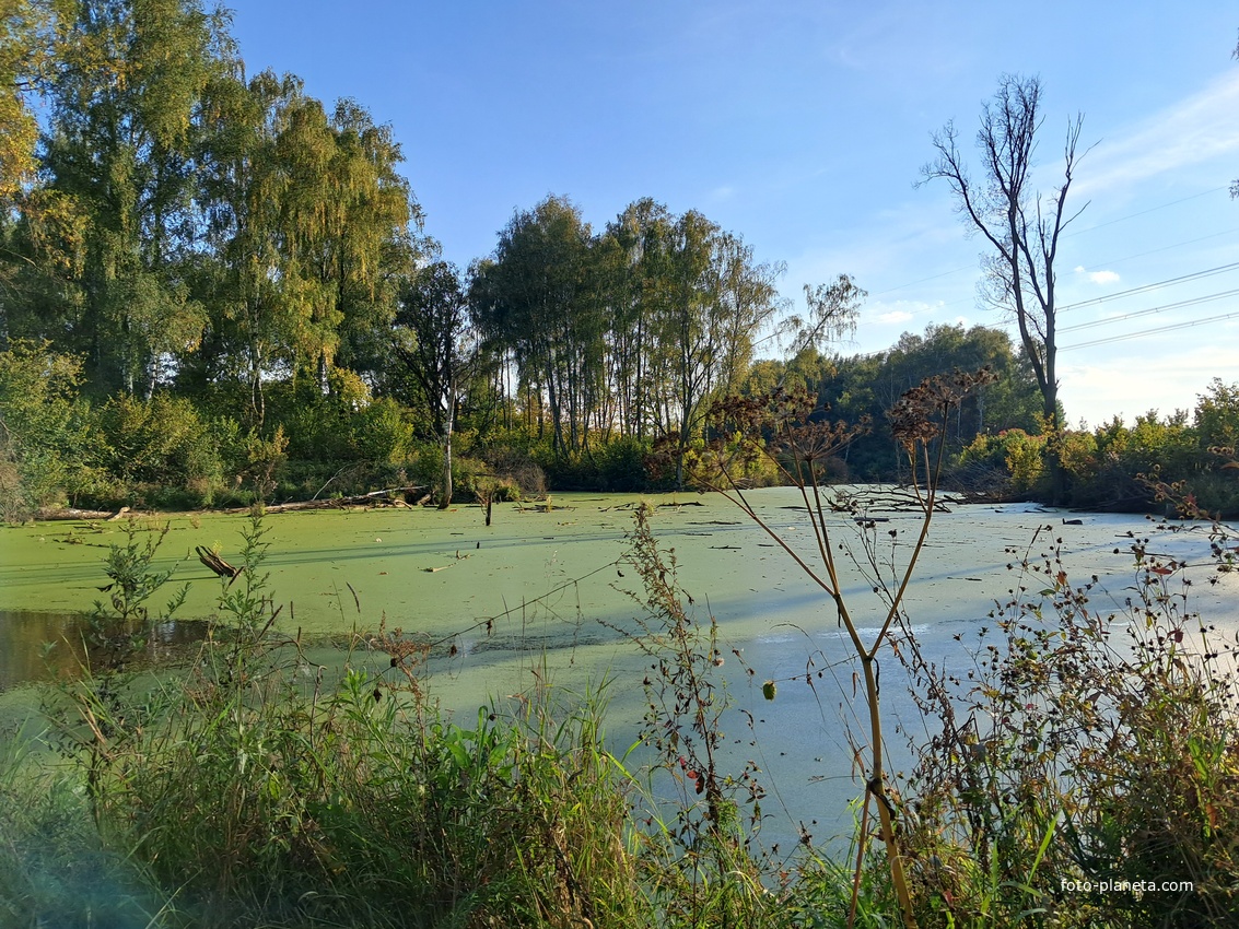 Пруд на северо-западе села