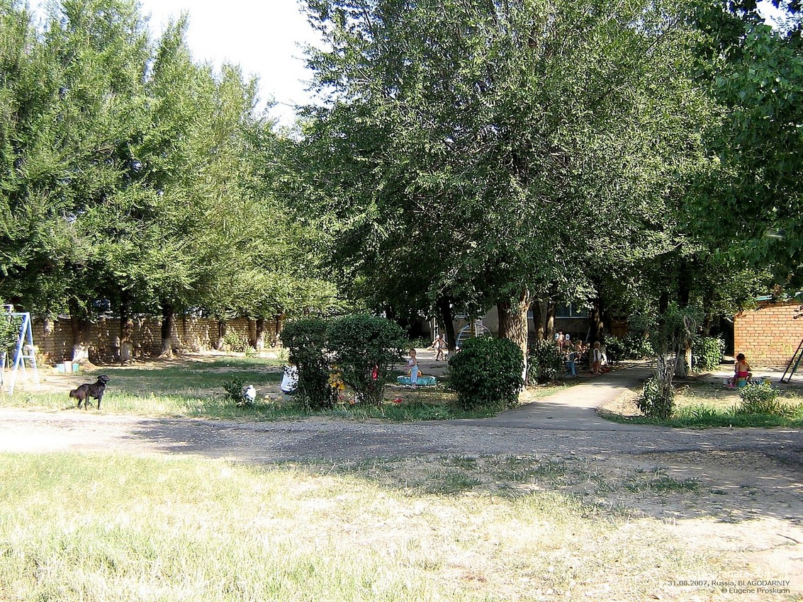 На территории детсада №5 по ул.Свободы,98. 31.08.2007г.