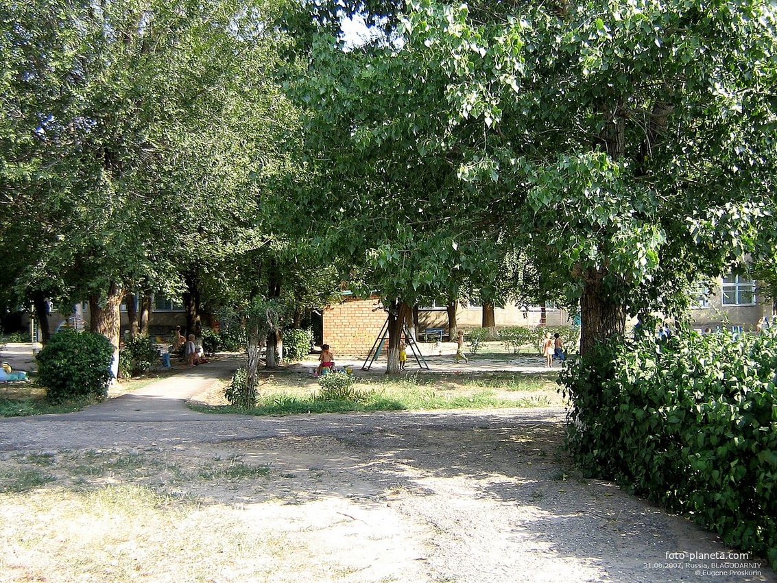 На территории детсада №5 по ул.Свободы,98. 31.08.2007г.